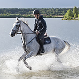 Running horses